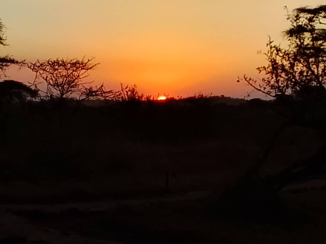 Tanzania